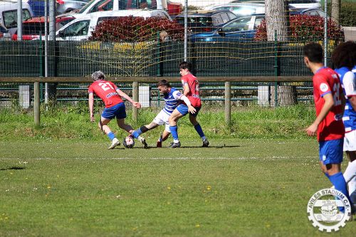IMG 8863